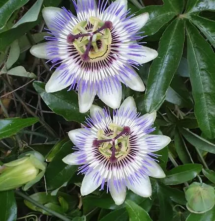 Souterrainwohnung Im Gruenen *