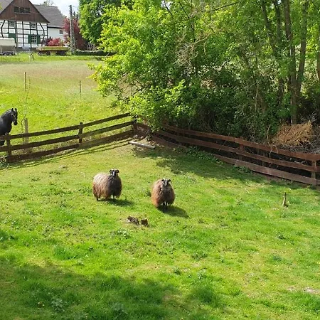 Souterrainwohnung Im Gruenen Witten