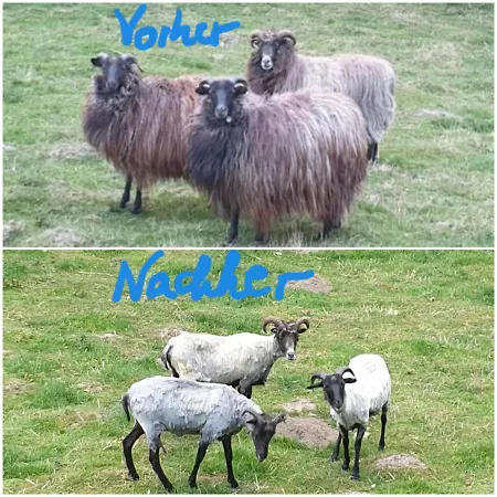 Souterrainwohnung Im Gruenen Witten