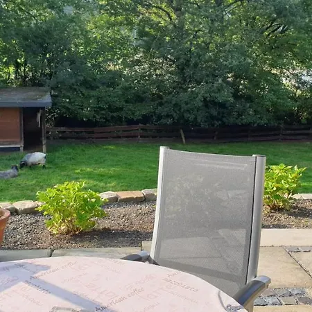 Souterrainwohnung Im Gruenen