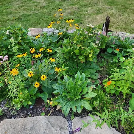 Souterrainwohnung Im Gruenen * Witten