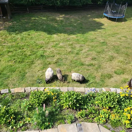 Souterrainwohnung Im Gruenen Διαμέρισμα