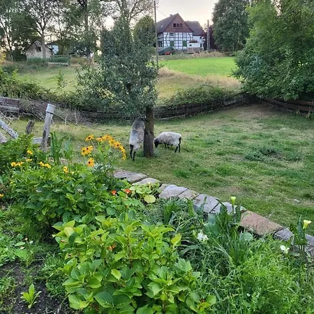 Souterrainwohnung Im Gruenen * Witten