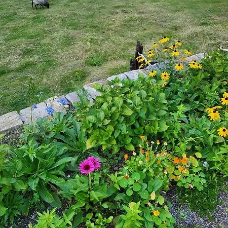 Apartmán Souterrainwohnung Im Gruenen Witten