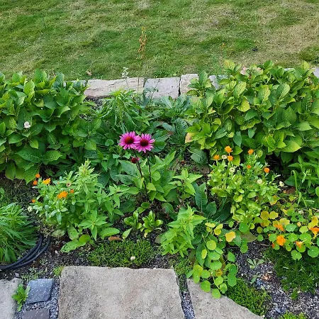 Souterrainwohnung Im Gruenen *