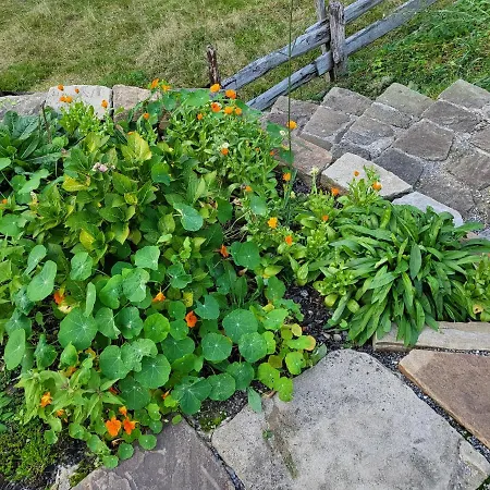 Apartmán Souterrainwohnung Im Gruenen