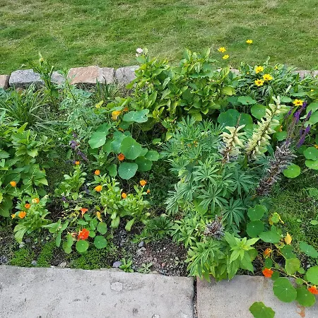 Διαμέρισμα Souterrainwohnung Im Gruenen