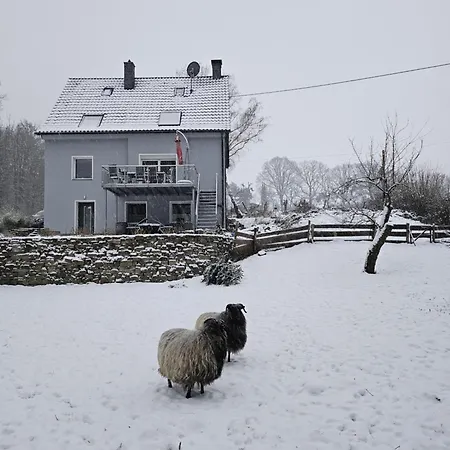 Souterrainwohnung Im Gruenen Witten