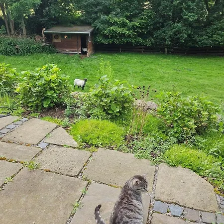 Souterrainwohnung Im Gruenen Witten