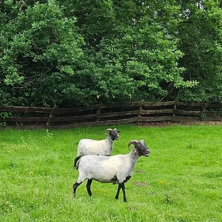 Souterrainwohnung Im Gruenen * Witten