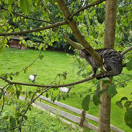Souterrainwohnung Im Gruenen Διαμέρισμα Witten