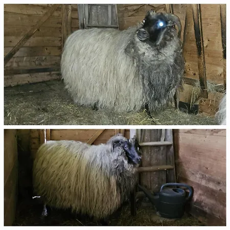 Apartmán Souterrainwohnung Im Gruenen