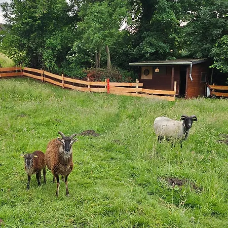 Souterrainwohnung Im Gruenen Διαμέρισμα *