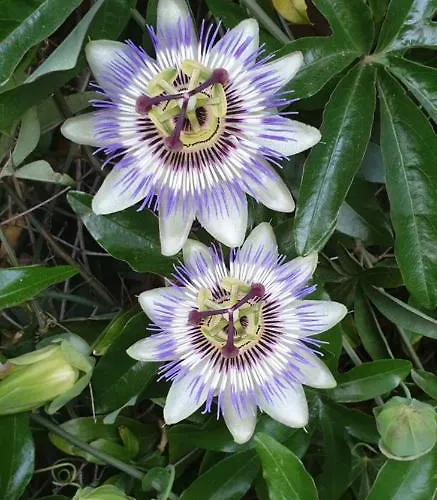 Souterrainwohnung Im Gruenen *