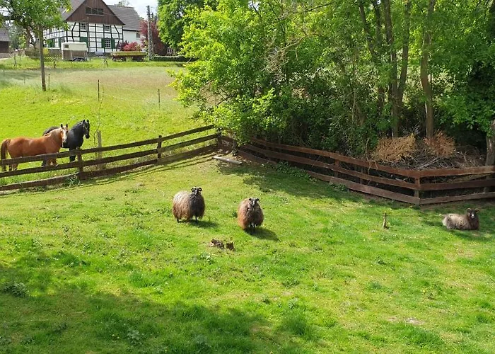 Souterrainwohnung Im Gruenen Witten
