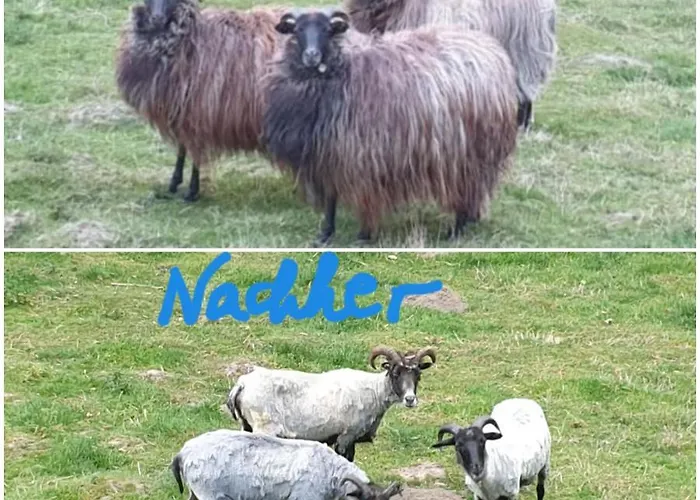 Souterrainwohnung Im Gruenen Witten