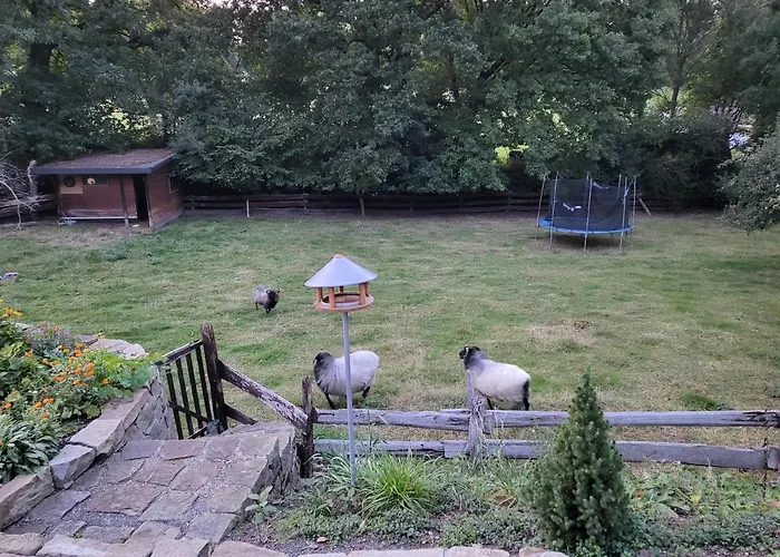 Souterrainwohnung Im Gruenen Διαμέρισμα Witten