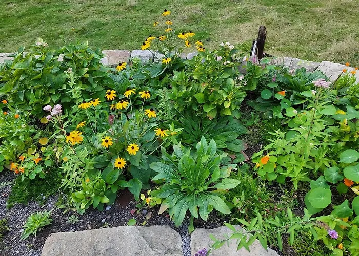 Souterrainwohnung Im Gruenen * Witten