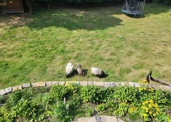 Souterrainwohnung Im Gruenen Lejlighed