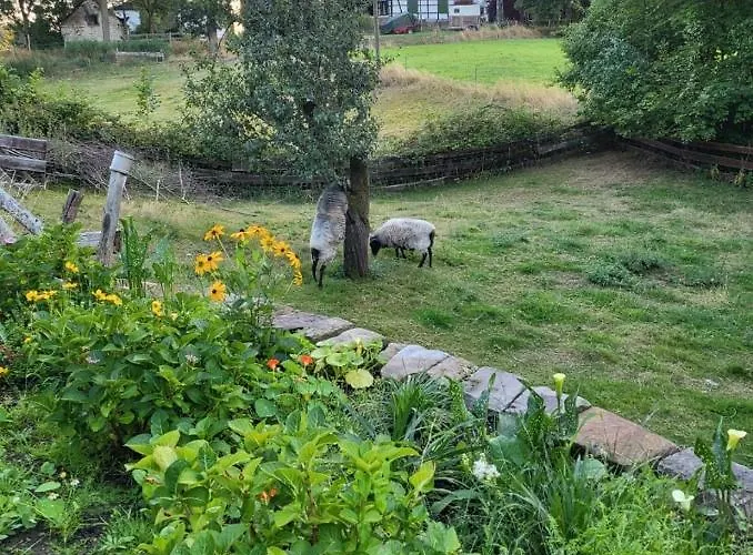 Souterrainwohnung Im Gruenen * Witten