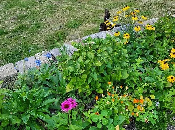 Διαμέρισμα Souterrainwohnung Im Gruenen Witten