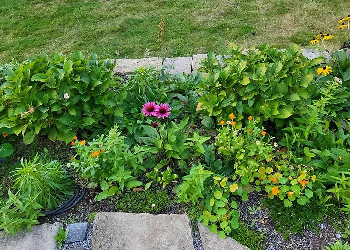 Souterrainwohnung Im Gruenen *