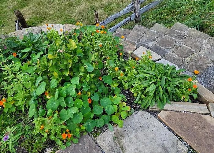 Διαμέρισμα Souterrainwohnung Im Gruenen