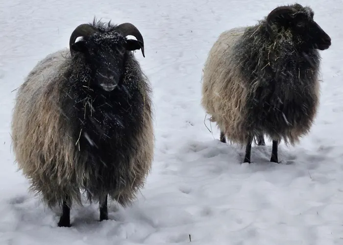 Souterrainwohnung Im Gruenen Lejlighed *