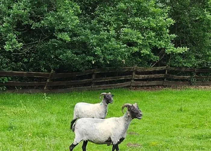 Souterrainwohnung Im Gruenen * Witten