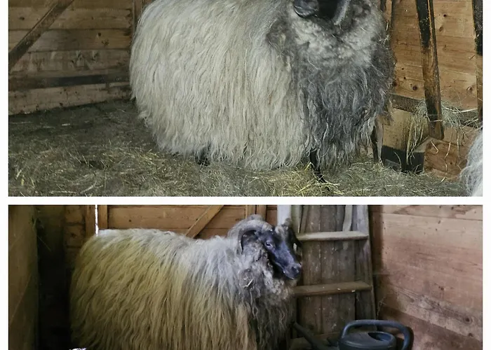 Lejlighed Souterrainwohnung Im Gruenen