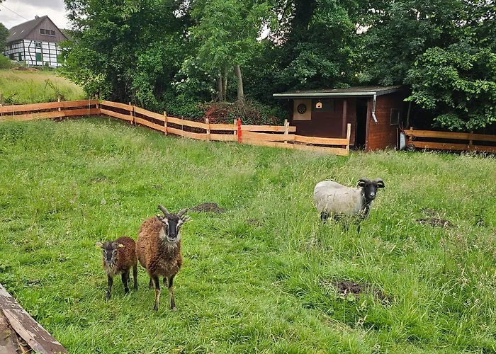 Souterrainwohnung Im Gruenen Lejlighed *